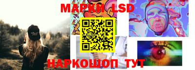 индика Ставрополь