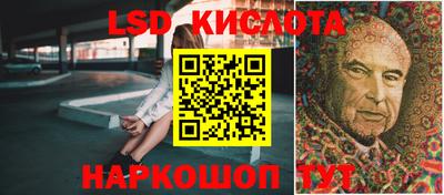 индика Ставрополь