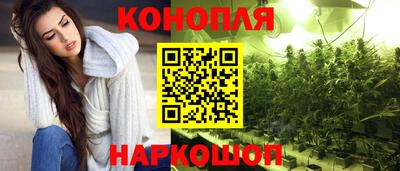 индика Ставрополь